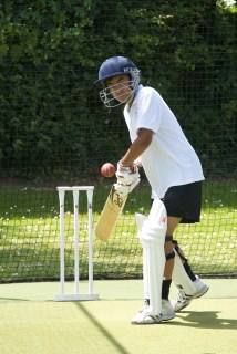 cricket